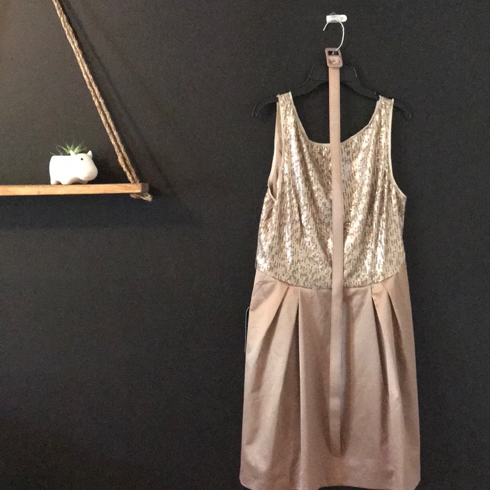 The Limited NWT perfect NYE Dress